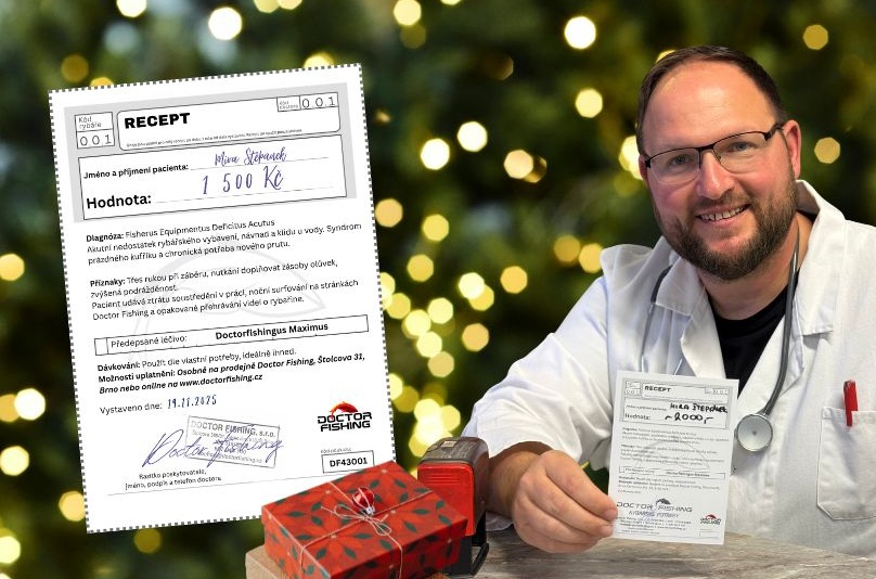 Your paragraph text (13)